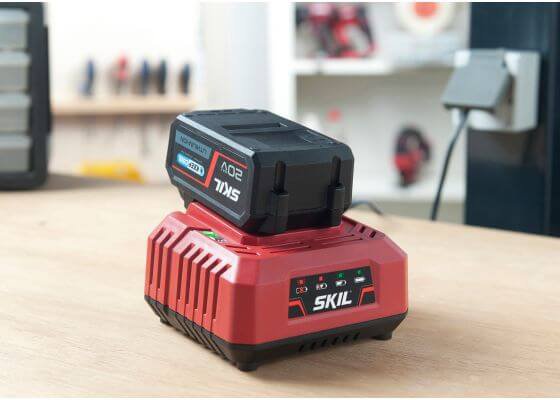 Cargador Rápido 20V Max Skil 3122 AA